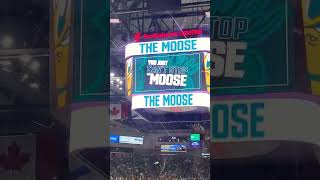 Halifax Mooseheads first home opener goal [upl. by Fillander998]