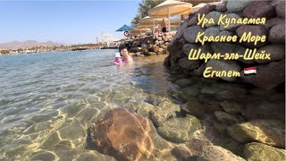 🇪🇬 УРА Купаемся 🏊‍♀️ Красное море 🌊 Египет ШармэльШейх [upl. by Dnalyram]