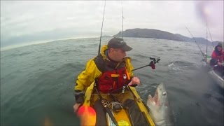 Porbeagle Shark catch and release in Malin Head Donegal Ireland estimated at 150lb [upl. by Orfurd428]