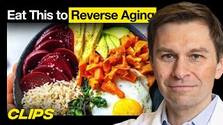 Eat This To Reverse Aging w David Sinclair  MOONSHOTS [upl. by Sydelle]