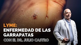 Garrapatas prevención y tratamiento II Parte Médico con Julio Castro [upl. by Ainevul]