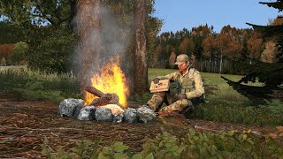 How to use campfires to your advantage😳 DayZ [upl. by Airan816]