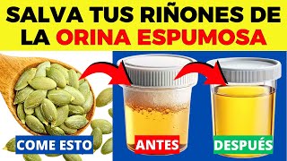 ESTE es EL MEJOR ALIMENTO para BAJAR la Proteinuria y Curar los Riñones Rápidamente [upl. by Augie]