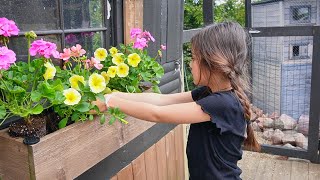 Mini Window Box amp Hanging Baskets  Planting in front of Animal Sheds [upl. by Ittam]