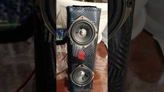 Bass Bliss Unleashing Extreme Subwoofer Power with the PD Bluetooth Speaker in Car Audio jbl bass [upl. by Ellitnahc]