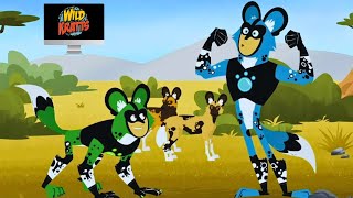 Wilds Kratts Cats And Dogs Game  Wilds Kratts Games [upl. by Alarick]