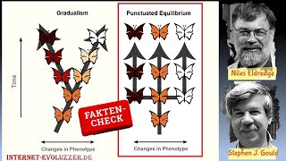 Gradualismus und Punktualismus macht die Evolution große Sprünge [upl. by Harley196]