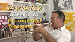 Esotérico Gilberto Gil Instrumental Trompete [upl. by Aicinad871]