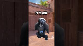 CS 2 MIRAGE FUNNY gaming memes cs2 mirage subscribe [upl. by Ellesor220]