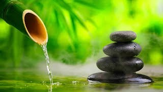 Relaxing Music Reiki Music Meditation Sleep Healing Calm Music Sleep Music Study Spa ☯1995 [upl. by Isaac146]