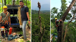 പലരും വന്ന് മുറിക്കാൻ കഴിയാത്ത കൂറ്റൻ മരം മുറിക്കാൻ പോയപ്പോൾ സംഭവിച്ചത് 😱 How To Cut Down A Tree [upl. by Lundgren]