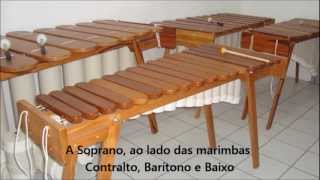 Marimbas Africanas estilo Zimbabwe  1 Soprano [upl. by Odlaniger394]