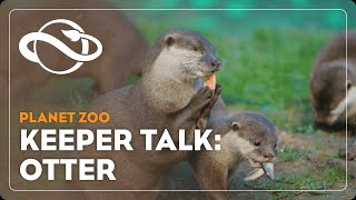 Planet Zoo  Keeper Talk  Asian SmallClawed Otter [upl. by Ylehsa]