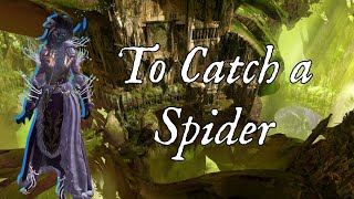 To Catch a Spider [upl. by Fitzpatrick]