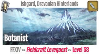 FFXIV Botanist Leves Level 58  Ishgard Dravanian Hinterlands  Heavensward [upl. by Farly]