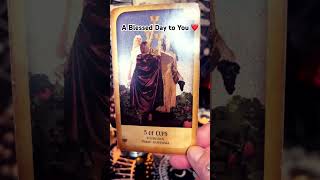 Introduction to Devine Tarot Channel A blessed Thanksgiving to You Tarot Reading [upl. by Noyek]