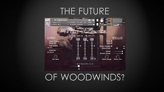 Library Spotlight  Infinite Woodwinds [upl. by Kevina923]