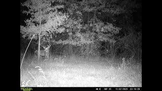 20242025 Ohio Fall Deer Season In Trouble  EHD Catastrophic Losses [upl. by Welcome]