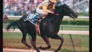 Kentucky Derby Winners  1968 to 2008 [upl. by Jb]