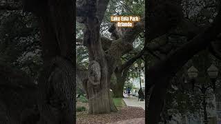 ClaudiaBertoArtes Lake Eola Park [upl. by Nylorak]