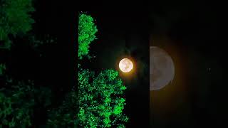 Amar hiyar majhe lukiye Chile dekhte ami paini tomay youtubeshorts song moonlight nature [upl. by Luba288]