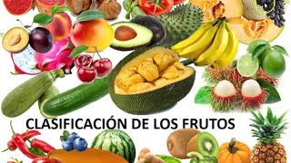 El fruto [upl. by Anitniuq]