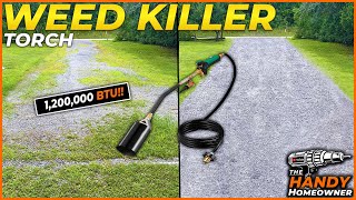 I Tried The Easiest DIY Weed Killer [upl. by Ham459]