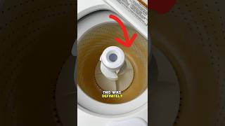 I Saved This Washing Machine cleaning satisfying cleaningtips [upl. by Anawad]