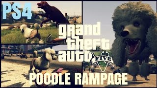 GTA 5 Peyote Location  POODLE PS4 Gameplay 1080p HD [upl. by Ydnem]