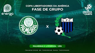 PALMEIRAS X LIVERPOOL  URU  11042024  LIBERTADORES  AO VIVO [upl. by Haela]