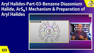 Aryl HalidesPart 03Benzene Diazonium Halide ArSN1 Mechanism amp Preparation of Aryl Halides [upl. by Nnyliram]