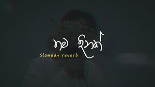 හිත පිළිගන්නේ නැහැ තවත්  Hitha piliganne naha thawath  Slowed  reverb [upl. by Eelyr]