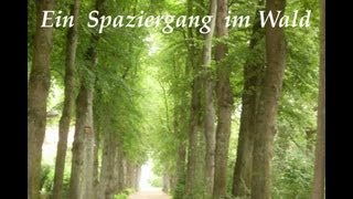 Ein Spaziergang im Wald Version 1 PhantasiereiseFantasiereise [upl. by Arly]