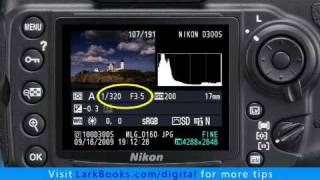 Nikon D300s How to Use Exposure Compensation [upl. by Bree]