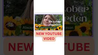 OCTOBER GARDEN New YouTube Video [upl. by Ecirtak131]