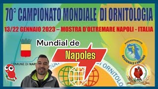 Grandisimo reportaje del Mundial de Ornitologia en NAPOLES 🇪🇸🇪🇸🇪🇸 [upl. by Eimmot916]