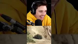 GTA Meme Olympics lazarbeam gta gaming fyp [upl. by Tut791]