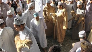 The Nizwa Goat Market [upl. by Arahk309]