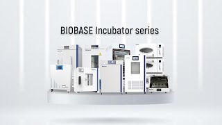 Choose a professional laboratory incubator please look for BIOBASE [upl. by Nitz]