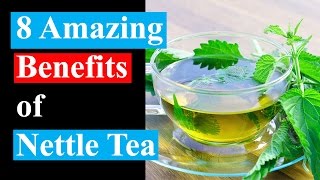 8 Amazing Benefits of Nettle Tea  Health Benefits of Nettle Tea [upl. by Bunns]