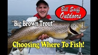 Big Brown Trout  Choosing where to fish [upl. by Anairt]