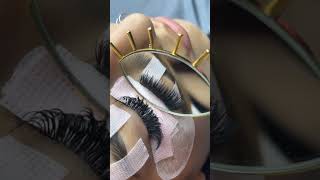 Wispy Volume Lash Application lashes wispylashes lashextensions fyp shorts satisfying beauty [upl. by Lydnek]