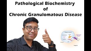 Pathological Biochemistry of Chronic Granulomatuous Disease  High yield [upl. by Uird]