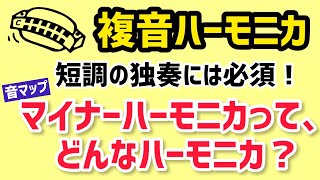 複音ハーモニカの、『マイナーハーモニカ』について解説♬【マイナーキー（短調）の曲の独奏には必須！！】 [upl. by Finkelstein560]