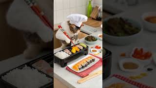 sushi sushilover catlover Subscribe to the channel [upl. by Brader372]