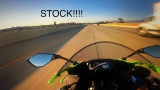 KAWASAKI ZX6R TOP SPEED [upl. by Buskirk186]