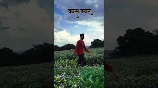 Kas pathar satara vairalvideo motivation funny trrndingshort vairalshort youtubeshorts neture [upl. by Ettenuj]