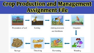 Crop production and management assignment file।। crop production and management model project file [upl. by Darsey]