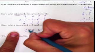 Saturated vs Unsaturated [upl. by Yennek223]