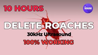 Silent but powerful cockroach repellent sound  ultrasonic deterrent  ultrasound [upl. by Codding]